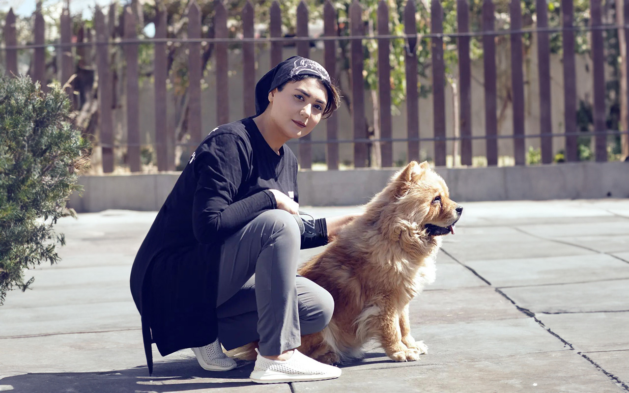 آموزش سگ توسط مربی