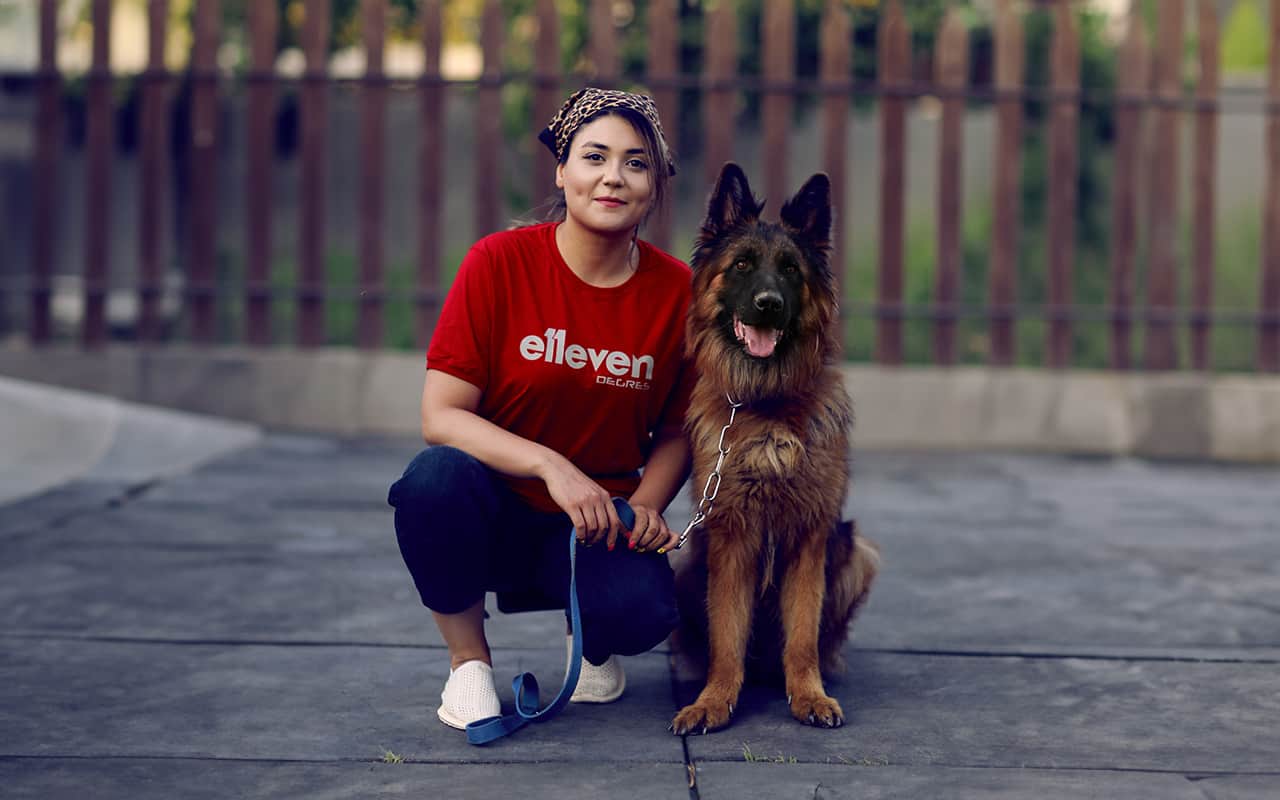 دوره آموزش سگ | دوره تربیت سگ | ای پروداگ | سحر عباسی